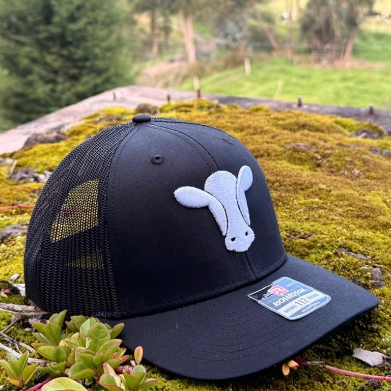 Gorra cg