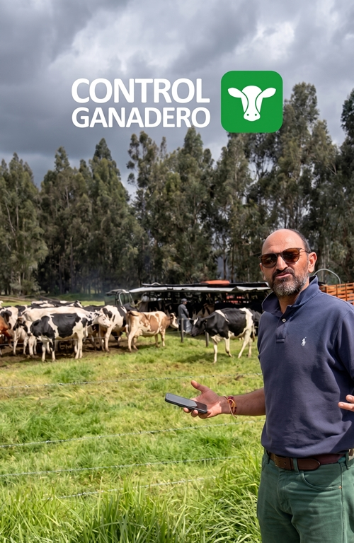 Quienes somos